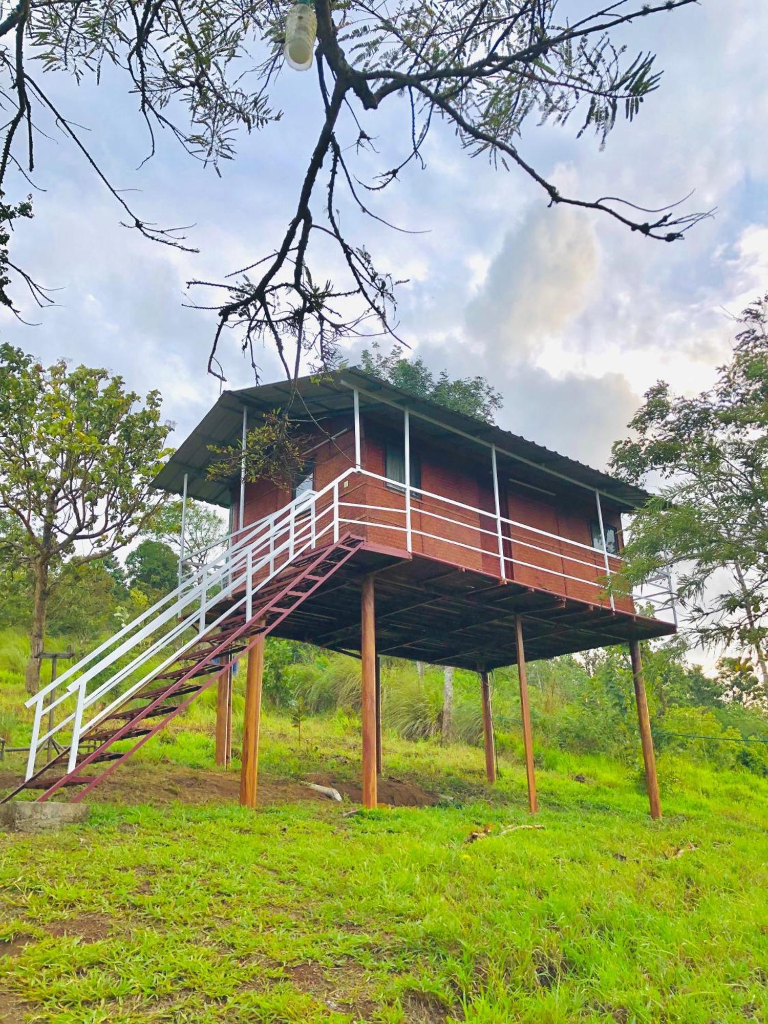 Punarjani Ayurvedic Resorts Ramakkalmedu Exterior photo